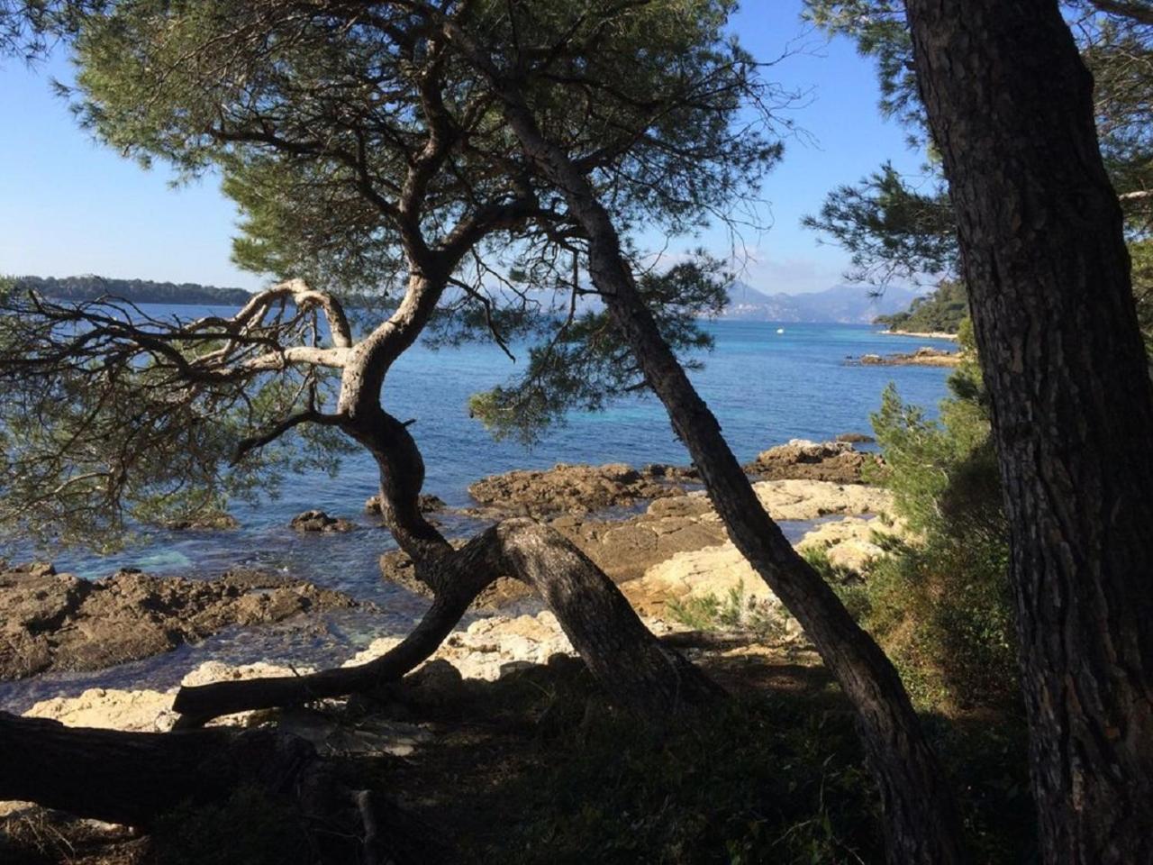 Cannes Design Vue Mer Екстериор снимка
